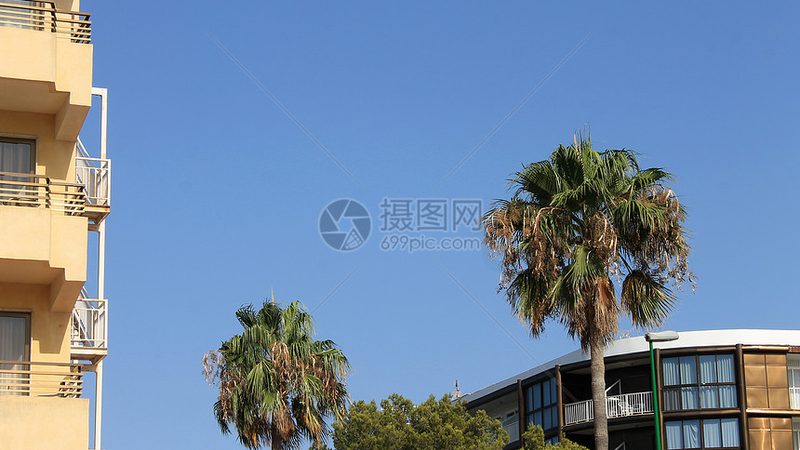 高空项目设备：拓展训练中的安全与挑战